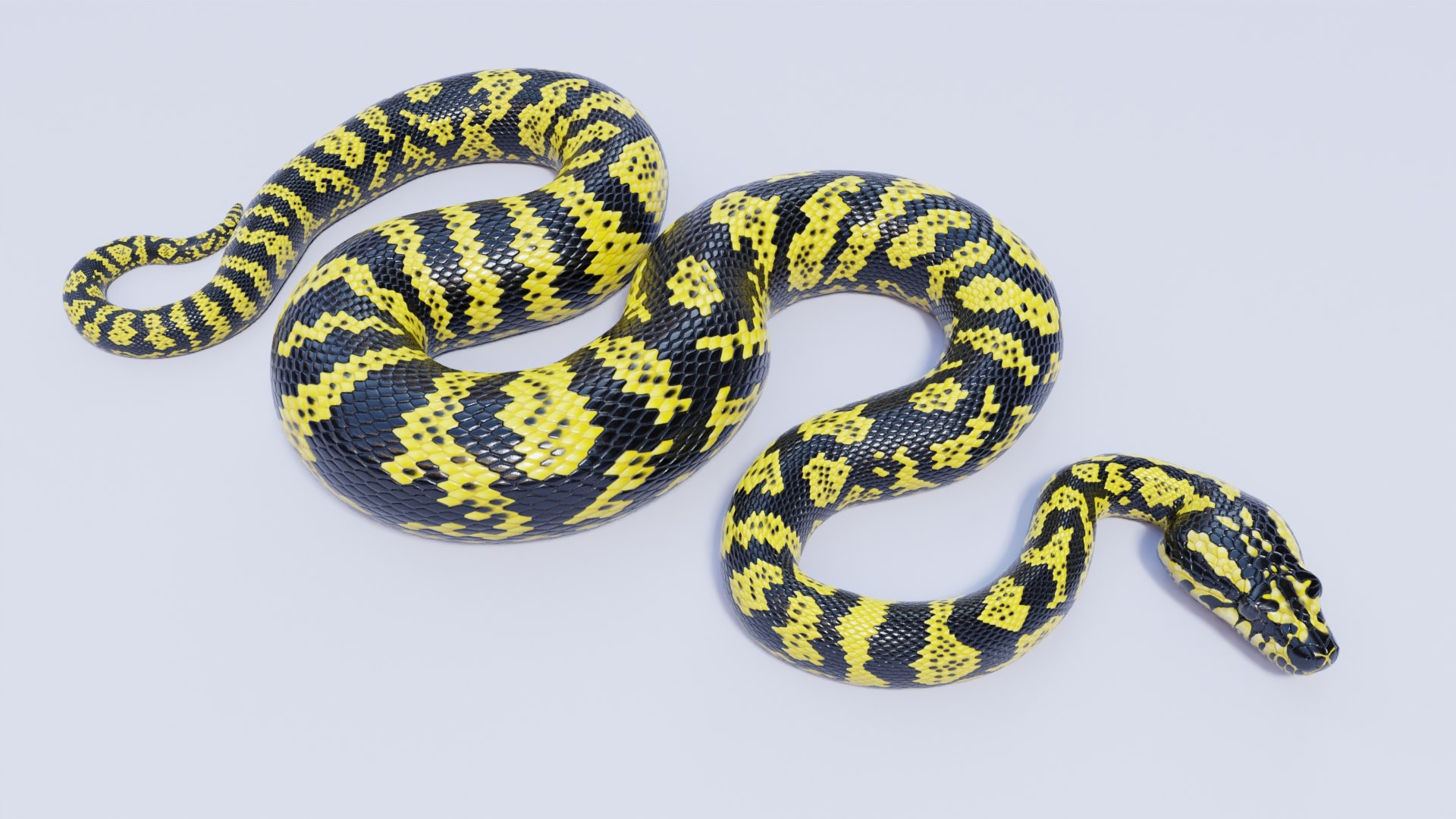 Zebra Jungle Carpet Python Static Poses 3D Model TurboSquid 2020582