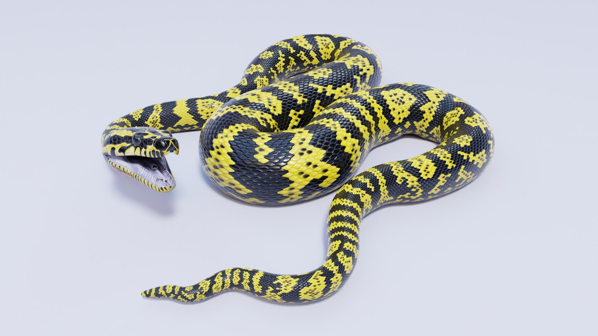 Zebra Jungle Carpet Python - Static Poses 3D Model - TurboSquid 2020582