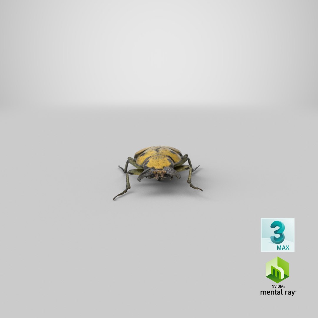 brown steampunk beetle model https://p.turbosquid.com/ts-thumb/rz/ZQ68nU/7Lfcs8UM/render.0001/png/1523030746/1920x1080/fit_q87/15622e07964351abc8c2011f460f578c35da4073/render.0001.jpg