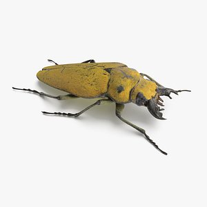 brown steampunk beetle model