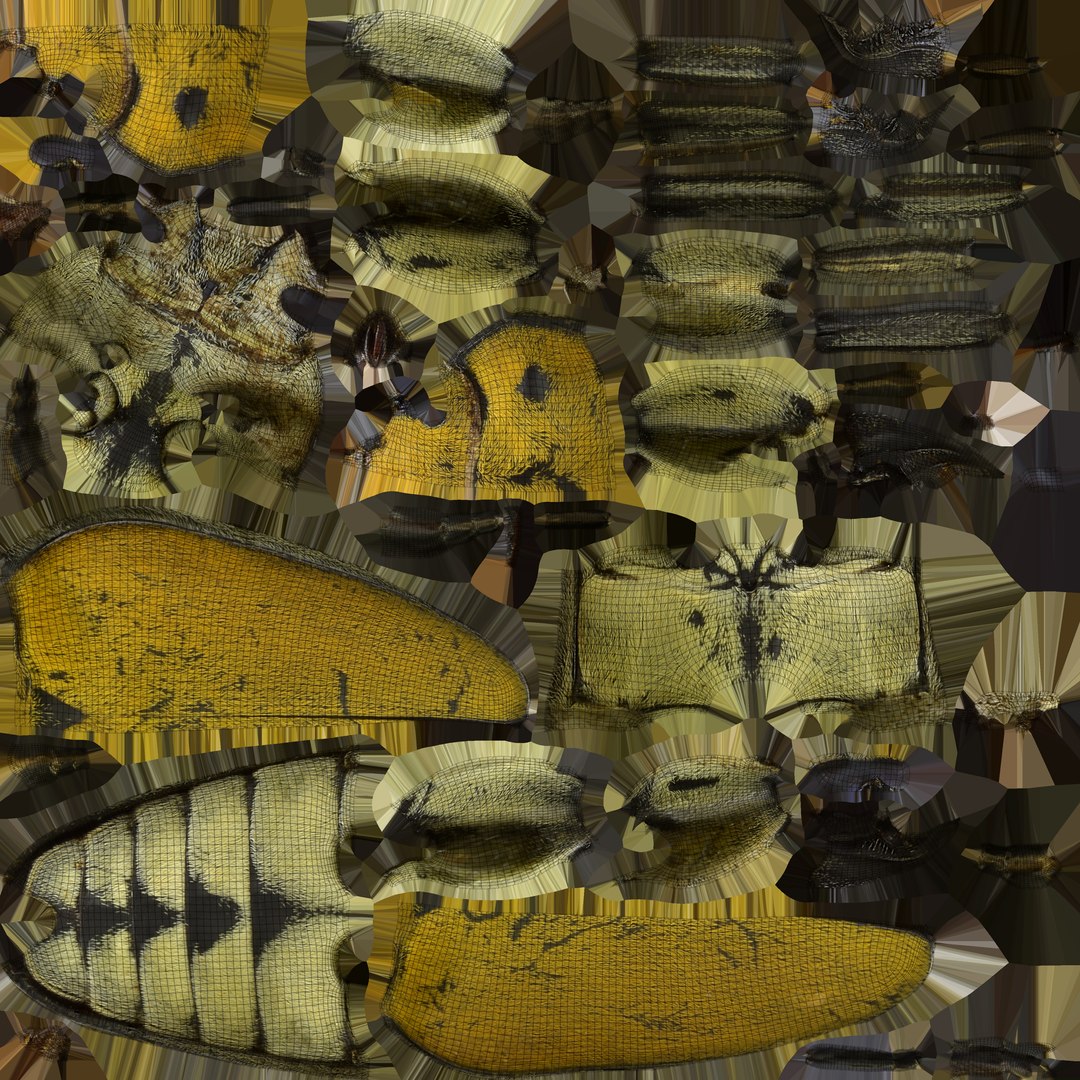 brown steampunk beetle model https://p.turbosquid.com/ts-thumb/rz/ZQ68nU/OCUvN3nb/beetleuv/jpg/1519145421/1920x1080/fit_q87/6058d2a4bf6bf3a555806ff7a6b2c8ee37d78eec/beetleuv.jpg