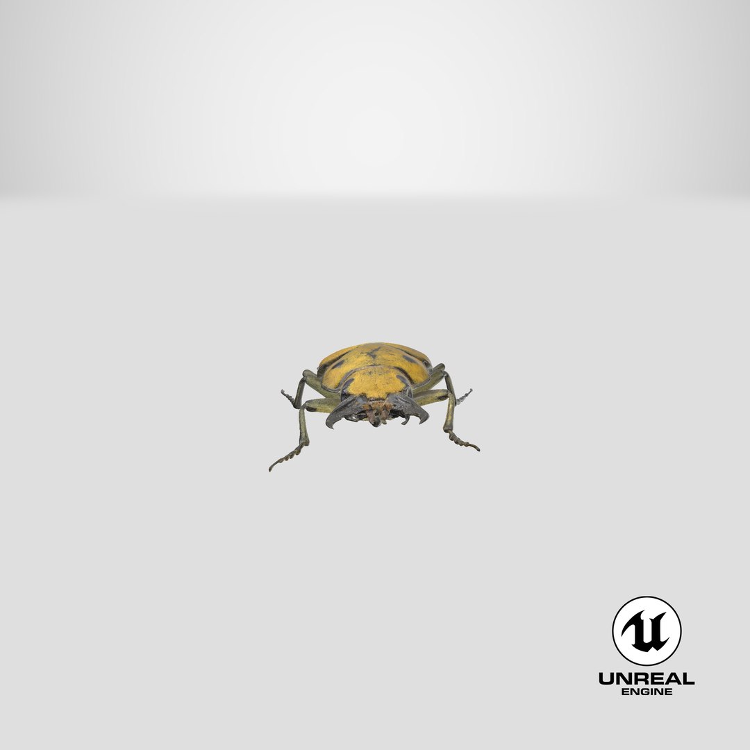 brown steampunk beetle model https://p.turbosquid.com/ts-thumb/rz/ZQ68nU/eu1ih3tk/unreal_capture/png/1523030763/1920x1080/fit_q87/aaaf6ff185a63a94d9620265a9f4852d6963e93e/unreal_capture.jpg