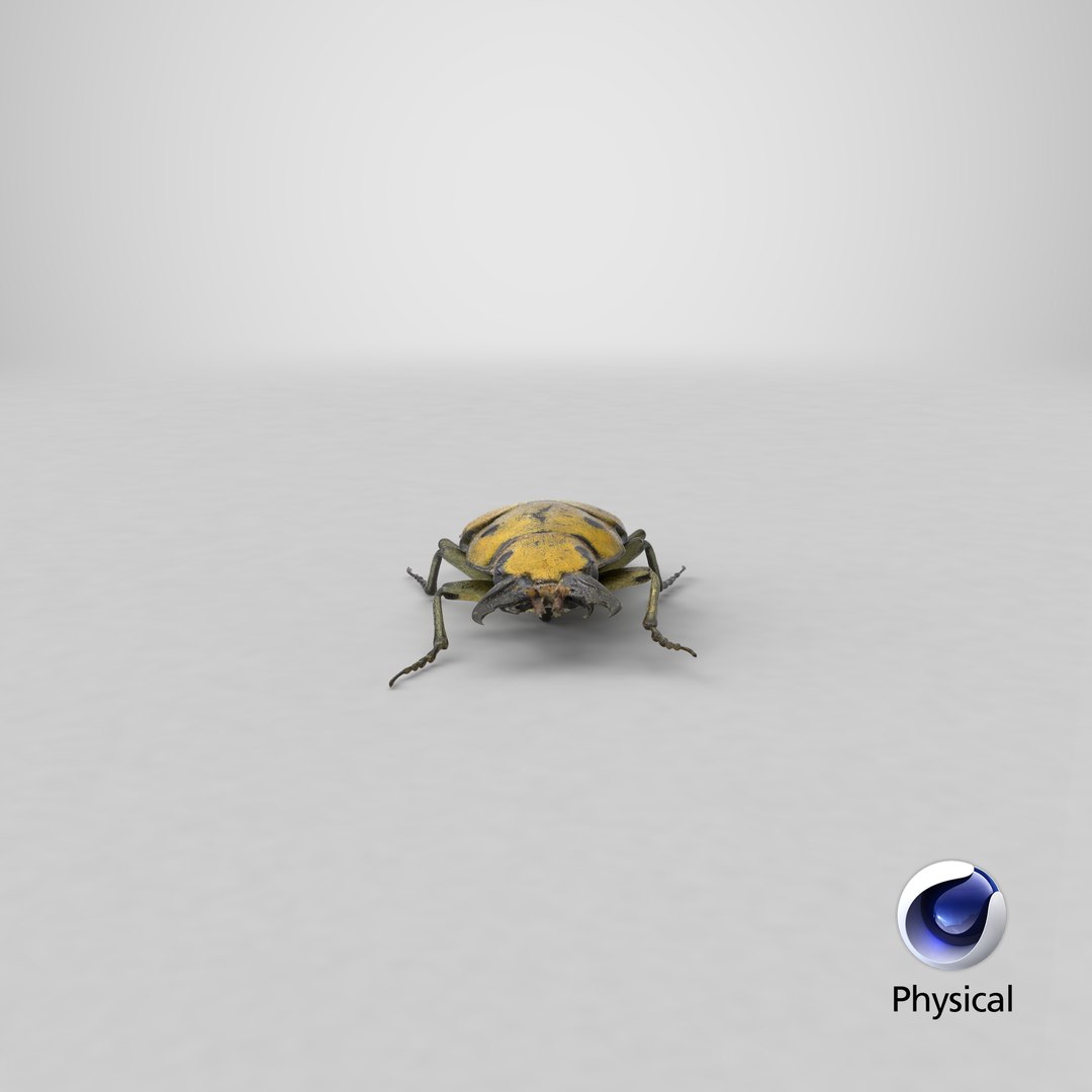 brown steampunk beetle model https://p.turbosquid.com/ts-thumb/rz/ZQ68nU/fLH6QpUY/render.0001/png/1523030753/1920x1080/fit_q87/ce53ec2c1f80d2e5138d1e900753933cc2addad4/render.0001.jpg