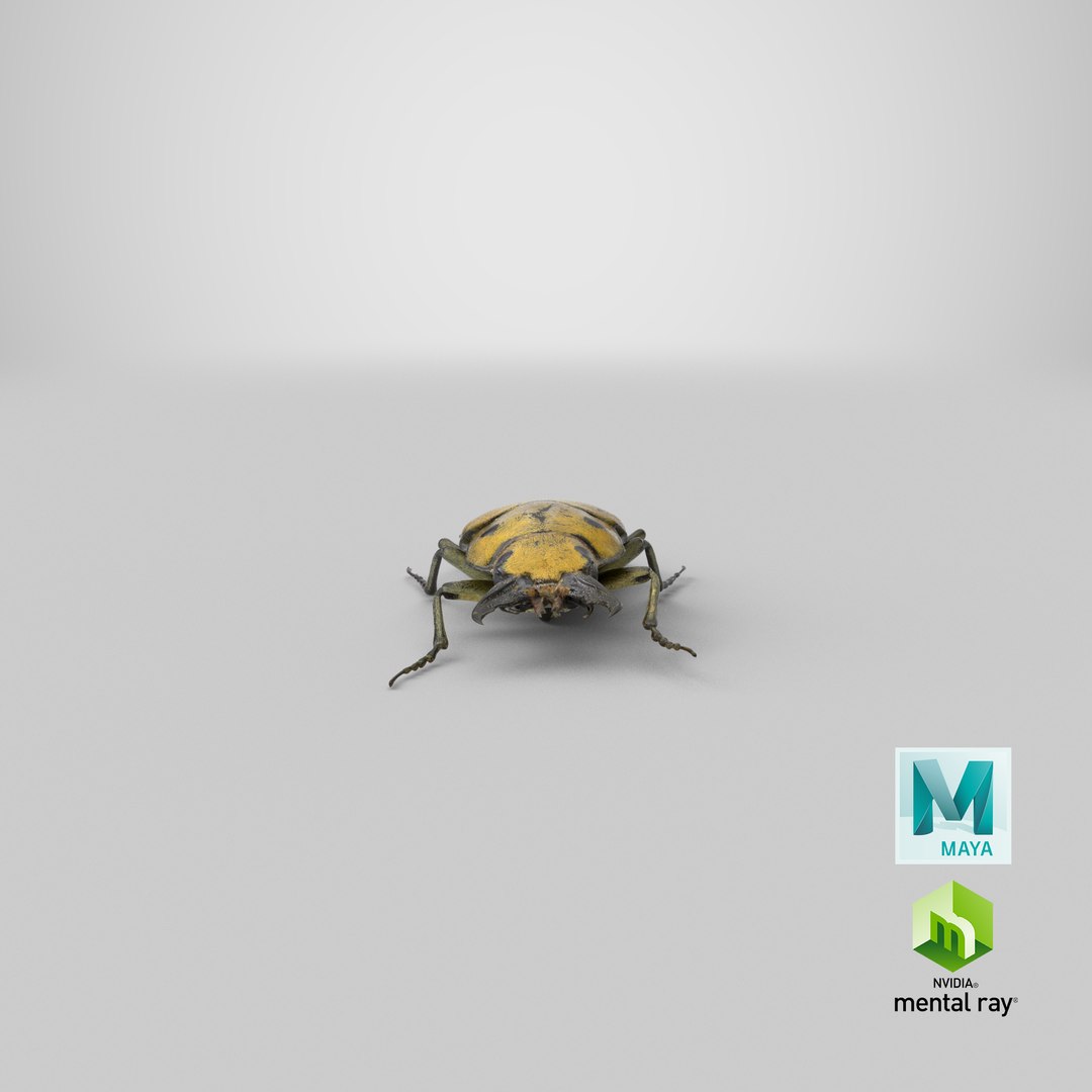 brown steampunk beetle model https://p.turbosquid.com/ts-thumb/rz/ZQ68nU/qx3YjR9X/render.0001/png/1523030737/1920x1080/fit_q87/8afbc97afdf736d2fd03cc12e59d4bf32a6d760b/render.0001.jpg