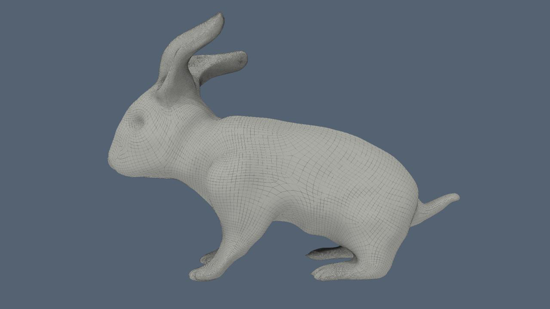 3d bunny