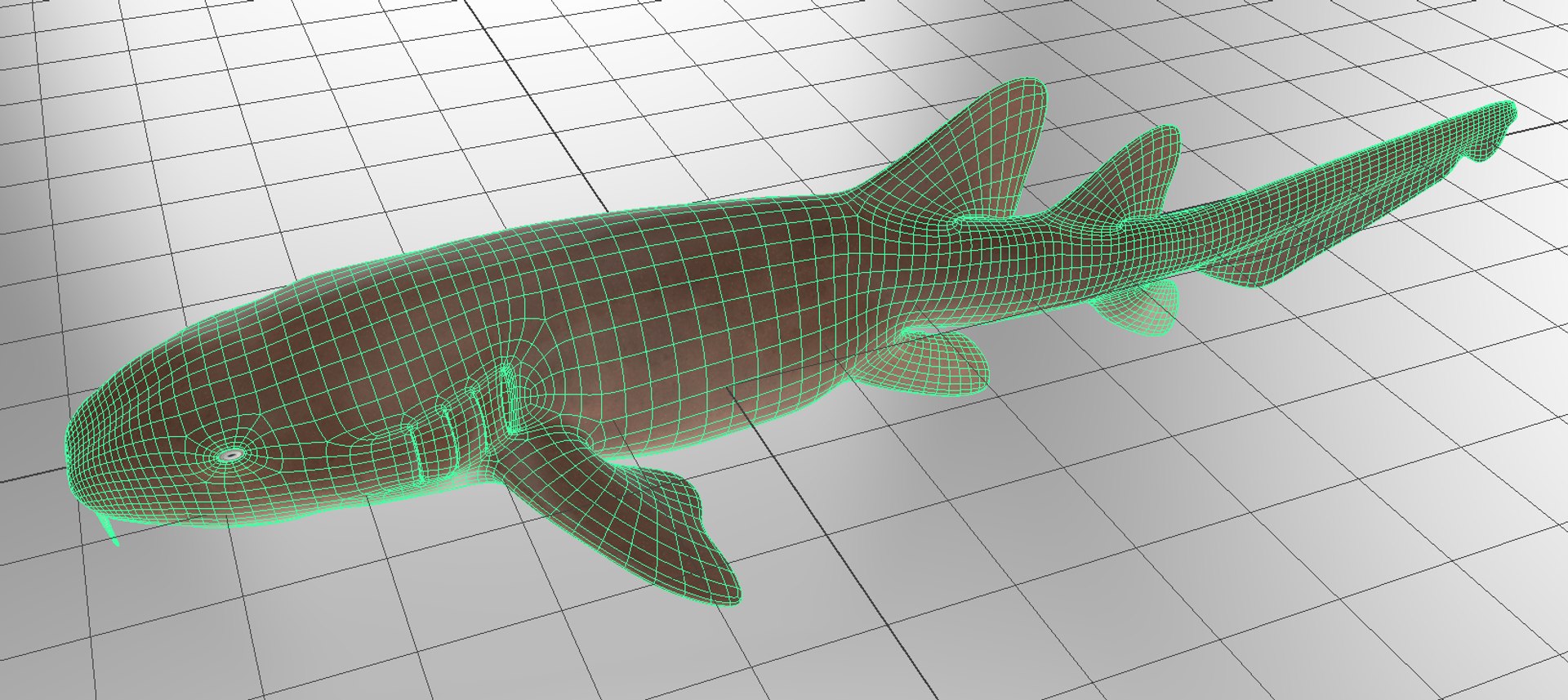 Nurse Shark 3D model https://p.turbosquid.com/ts-thumb/rz/xGNDUF/0J/viewport3/png/1751156741/1920x1080/fit_q87/ab8a496918e53f2c332767816ad43333116b648c/viewport3.jpg