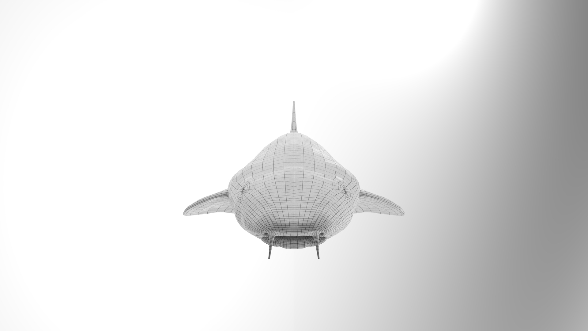Nurse Shark 3D model https://p.turbosquid.com/ts-thumb/rz/xGNDUF/Ii/render_turntable/png/1751156668/1920x1080/turn_fit_q99/9e47163f8d592468d9d4e1105e9f96499552c5fe/render_turntable-1.jpg
