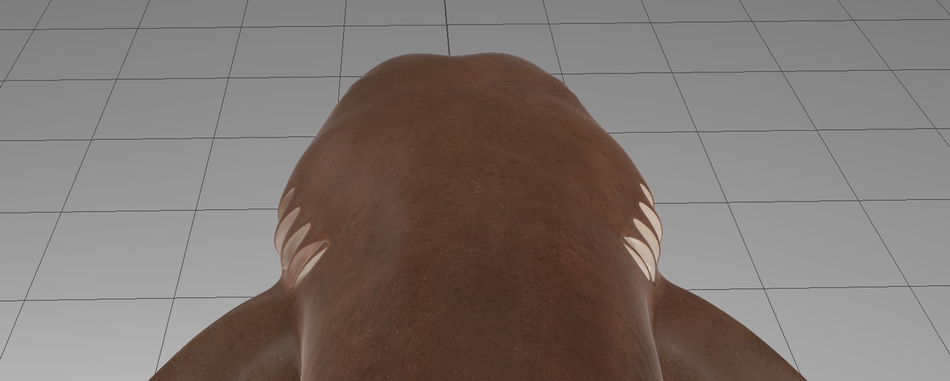 Nurse Shark 3D model https://p.turbosquid.com/ts-thumb/rz/xGNDUF/NZ/viewport2/png/1751156743/1920x1080/fit_q87/a6dbe50dabc5ad1790f94a81213b217163272d4f/viewport2.jpg