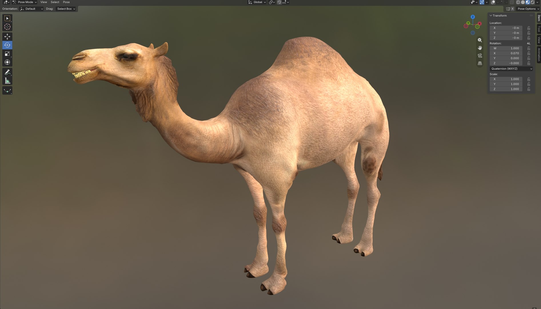 Camel 3D model https://p.turbosquid.com/ts-thumb/s0/3F5CTd/nF/6/jpg/1785210823/1920x1080/fit_q87/d787a25399e2e1b8ca70ffdf931c8ebe13305f01/6.jpg