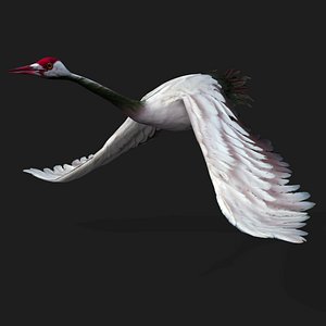 3D Crane Bird-A3