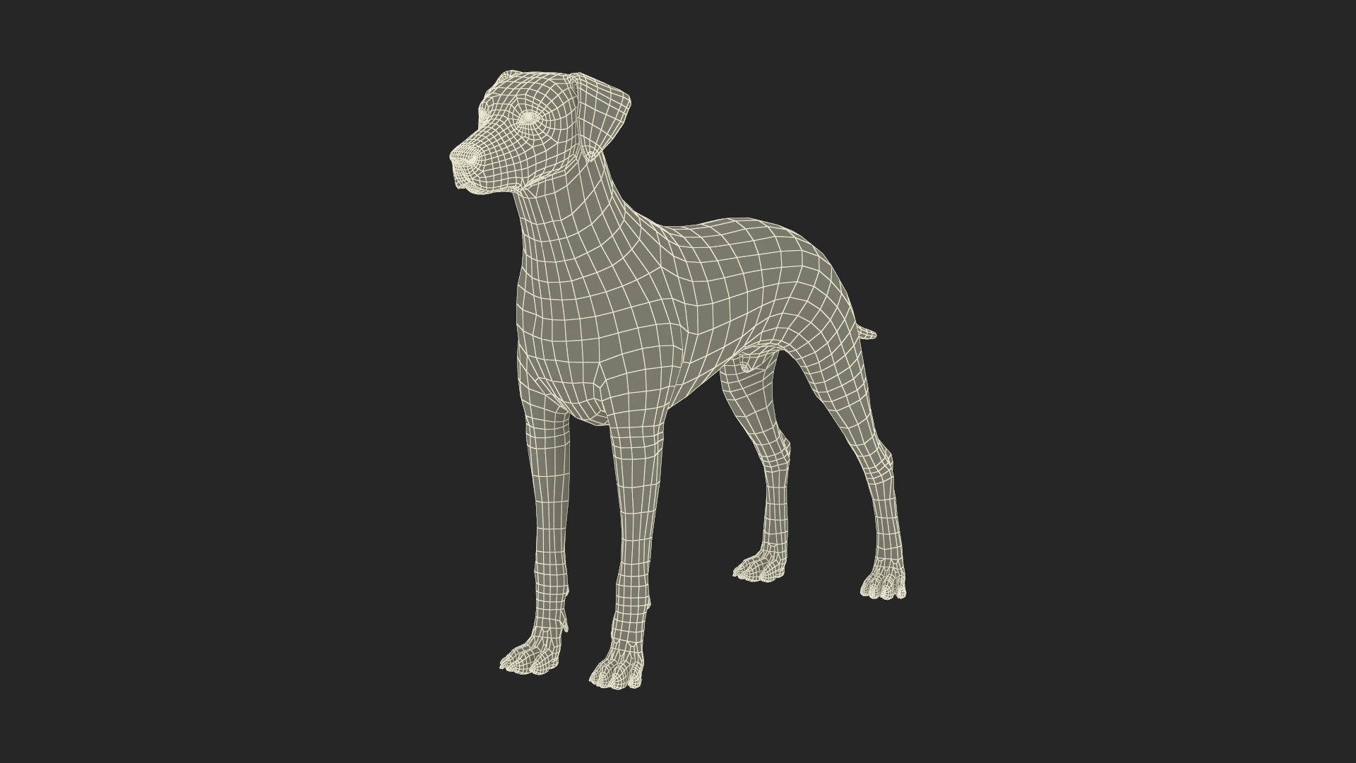 Dalmatian Dog 3D Model - TurboSquid 2230710