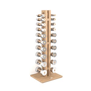 Paragon Studio Gym hand weights tree rack 10 pair