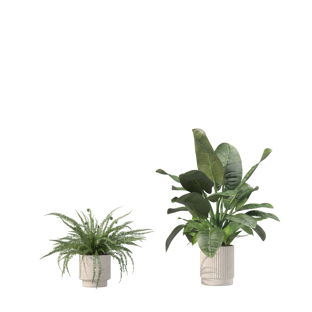 20 Photorealistic Flowers for Interiors - set 203 205 207 209 3D model https://p.turbosquid.com/ts-thumb/s0/Y9PjTu/NC/4/jpg/1727370671/1920x1080/fit_q87/365fc8df204a4549d779a615d5ca263722ec76e6/4.jpg