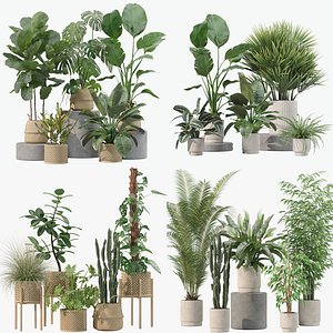 20 Photorealistic Flowers for Interiors - set 203 205 207 209 3D model