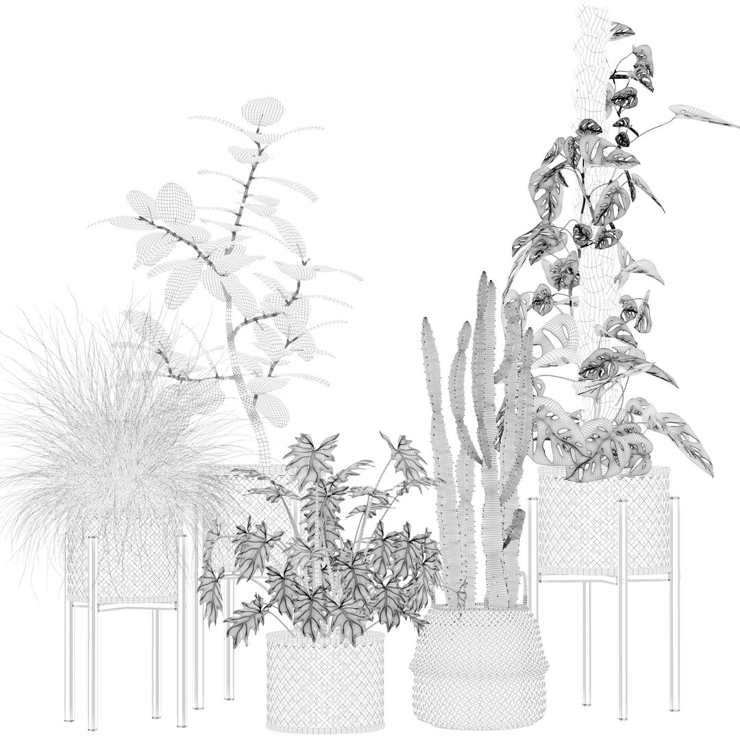 20 Photorealistic Flowers for Interiors - set 203 205 207 209 3D model https://p.turbosquid.com/ts-thumb/s0/Y9PjTu/is/13/jpg/1727370628/1920x1080/fit_q87/99f2c4739ee487a71785008a38dfe49be79588d3/13.jpg