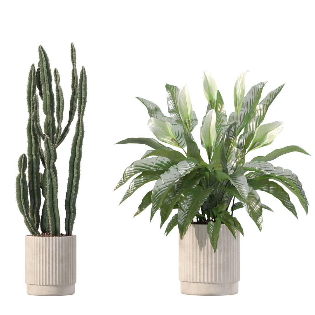 20 Photorealistic Flowers for Interiors - set 203 205 207 209 3D model https://p.turbosquid.com/ts-thumb/s0/Y9PjTu/kZ/7/jpg/1727370651/1920x1080/fit_q87/9acd77595ccd81e97944f89bb625471f0524058b/7.jpg