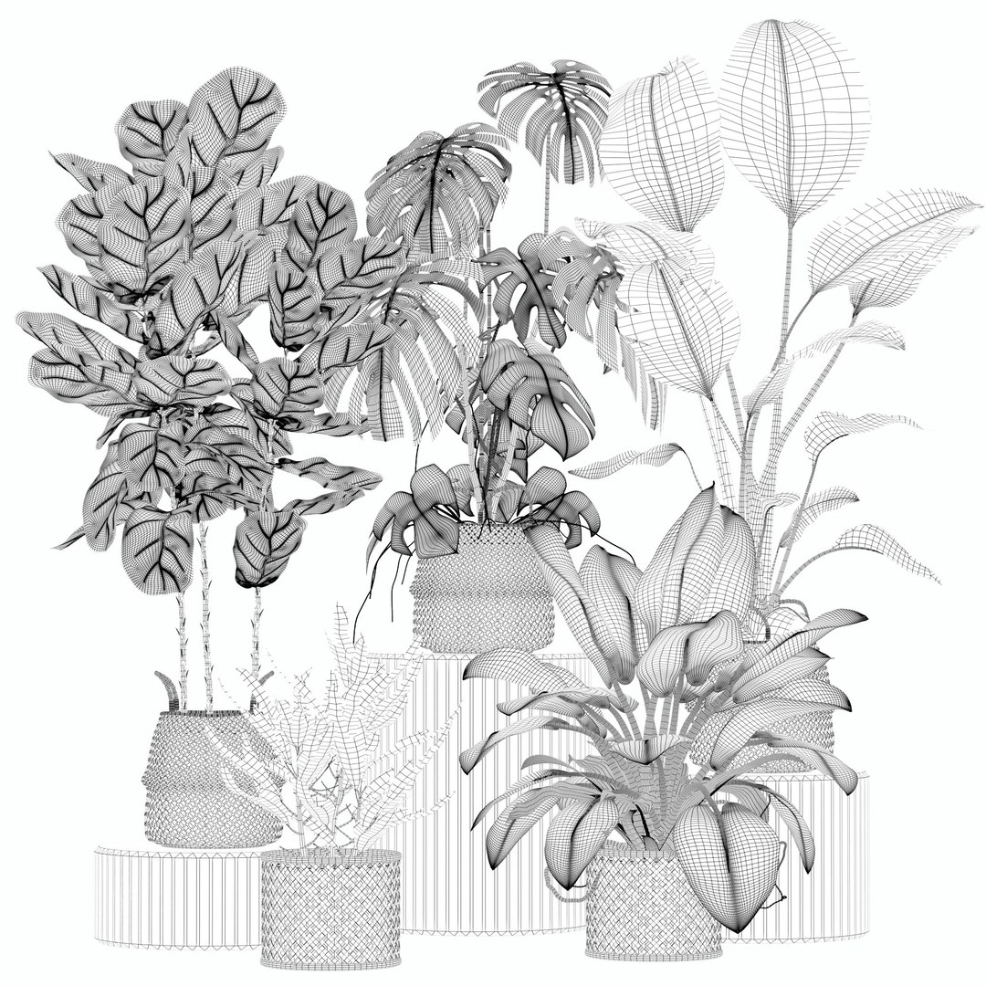 20 Photorealistic Flowers for Interiors - set 203 205 207 209 3D model https://p.turbosquid.com/ts-thumb/s0/Y9PjTu/mN/17/jpg/1727370703/1920x1080/fit_q87/c82eacc53c96db047f65e796d043308abe26478c/17.jpg