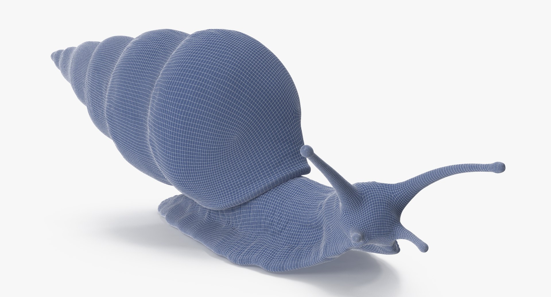 3d Snail 02