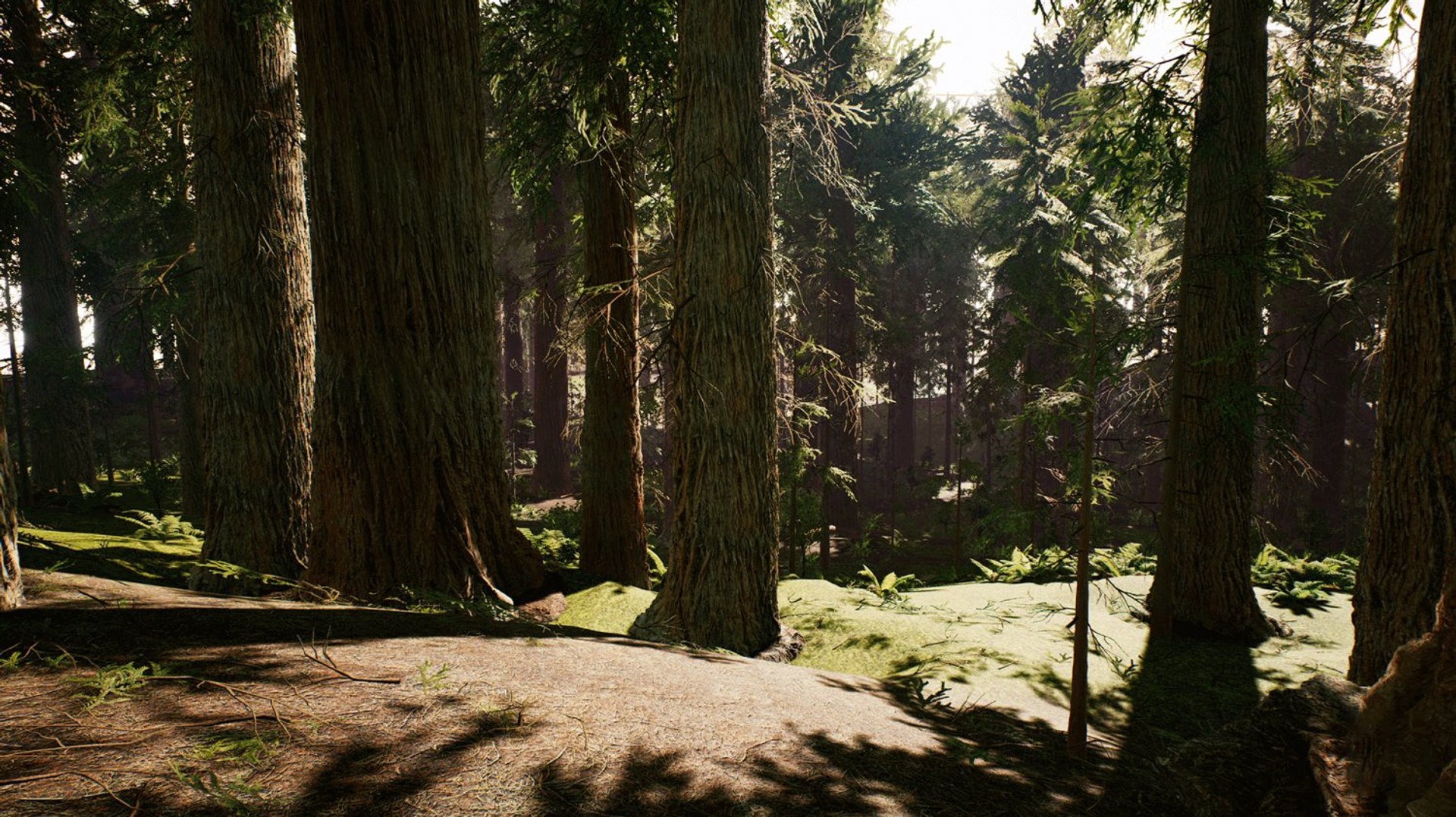 redwood trees ferns model https://p.turbosquid.com/ts-thumb/s0/pkTygN/1RyYbVIs/redwood_forest_for_game_ready_3d_model_c4d_max_obj_fbx_ma_lwo_3ds_3dm_stl_2289042_o/jpg/1563826710/1920x1080/fit_q87/b90dc060908a284e69784f6ed2b14431bc33c344/redwood_forest_for_game_ready_3d_model_c4d_max_obj_fbx_ma_lwo_3ds_3dm_stl_2289042_o.jpg