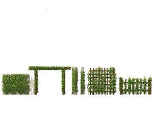 Virginia Creeper - Parthenocissus quinquefolia 3D model