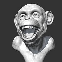 Chimp Head AM24 3D print model