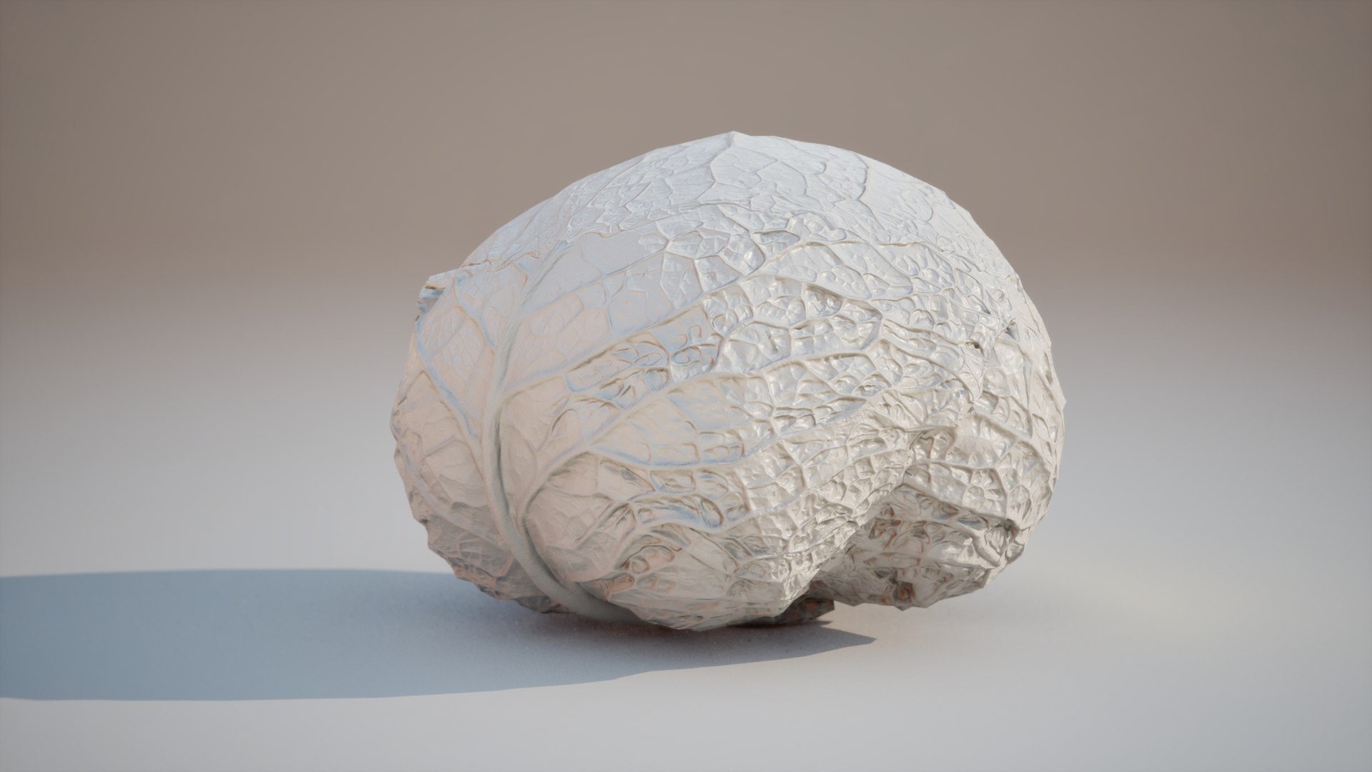 Cabbage01Low Poly 3D Cabbage Model Game Ready 4K 3D Model - TurboSquid ...