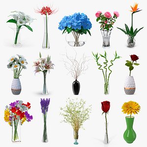 Flowers in Vases Collection 8
