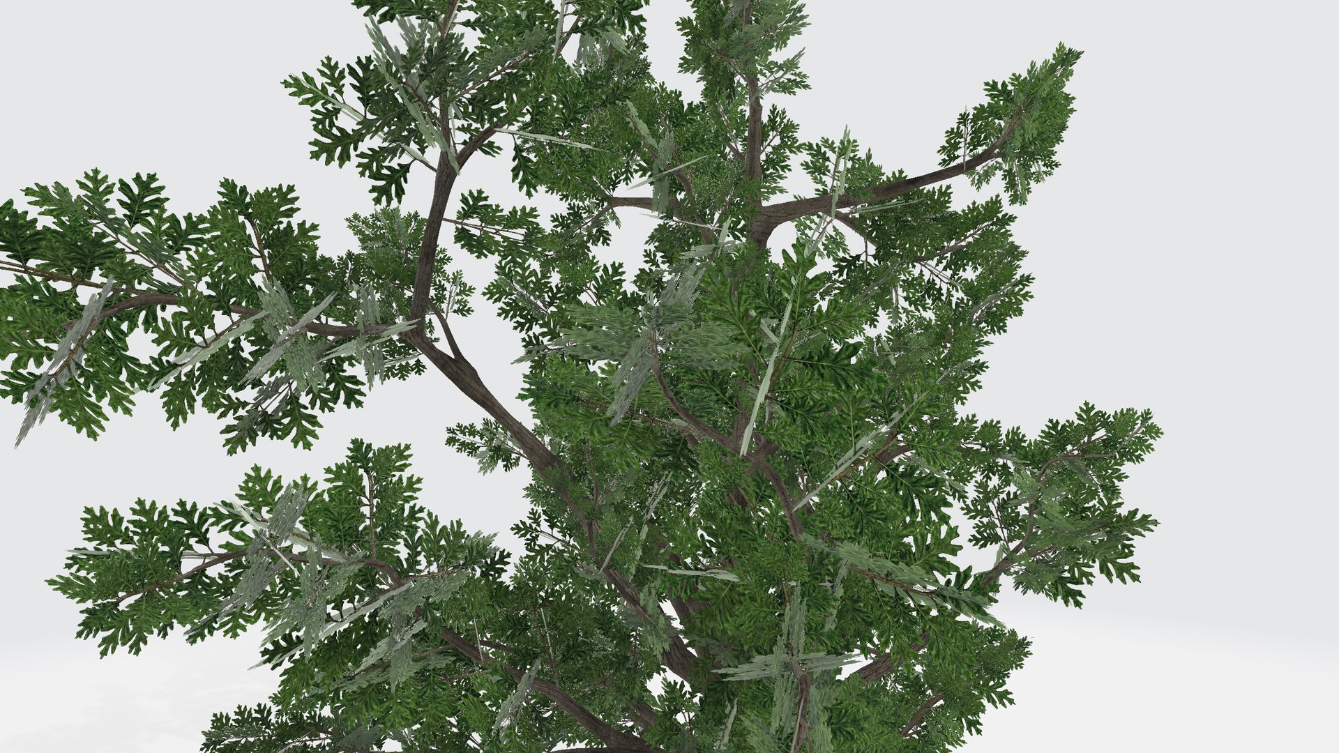 White Oak Tree 3D https://p.turbosquid.com/ts-thumb/s1/SDJHi0/8d/whiteoaktree0012345/png/1735224069/1920x1080/fit_q87/5b304d6bbf7792603981e63d589da5bc60a3c78c/whiteoaktree0012345.jpg