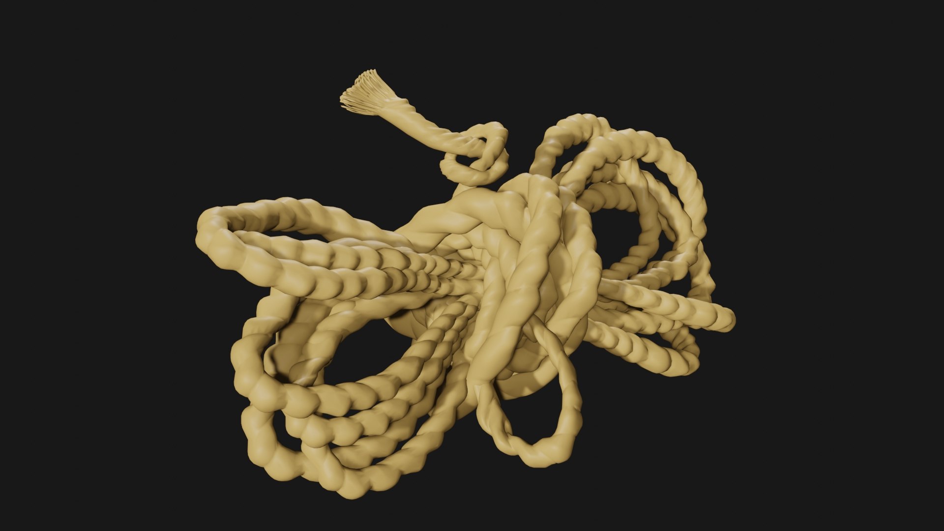 3D Rope Coil model TurboSquid 1826424