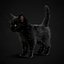 3ds kitten black