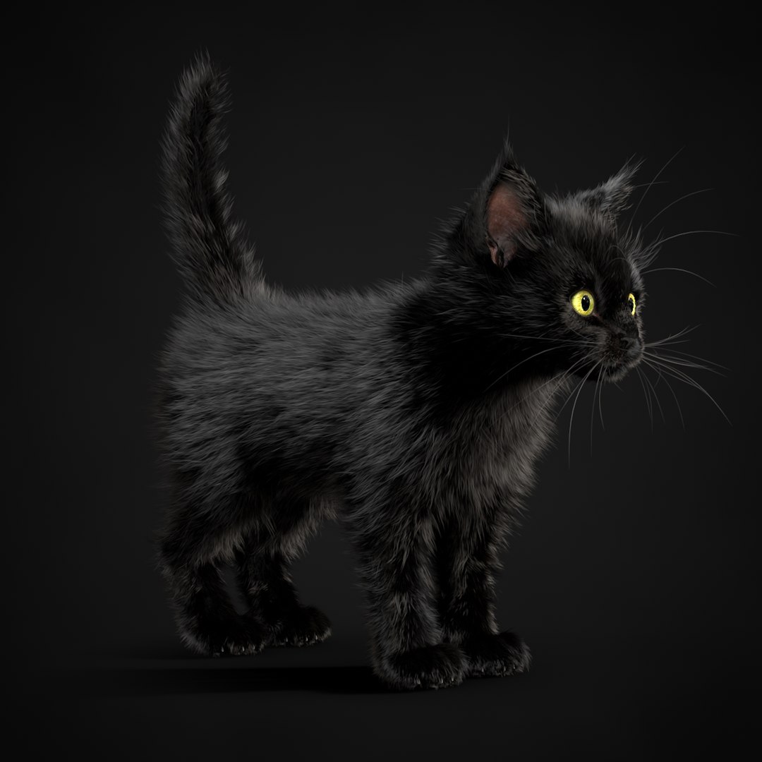 3ds kitten black https://p.turbosquid.com/ts-thumb/s1/vBIbZb/EXR6NSrT/10/jpg/1426858108/1920x1080/fit_q87/572eb718be07a9fb87d91ff6a7f9980719466b8d/10.jpg