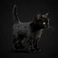 3ds kitten black