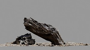 Dead Tree 002