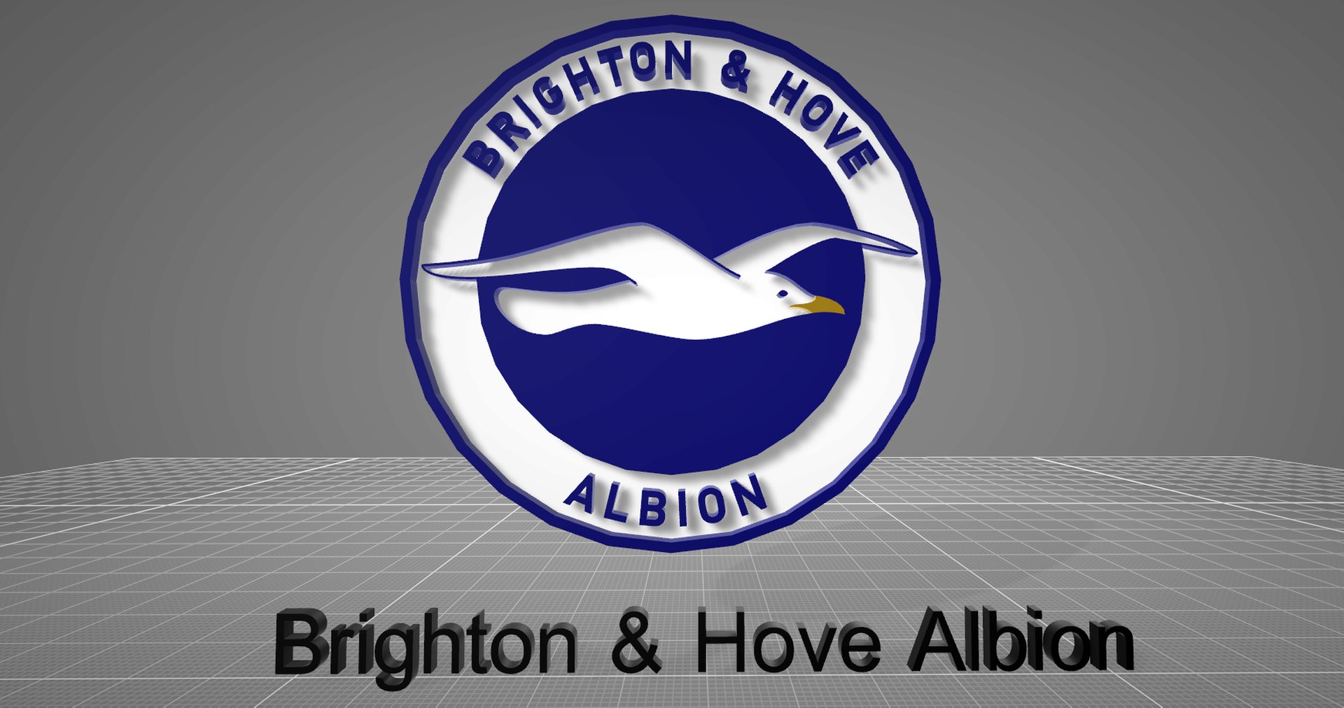 Brighton Hove Albion Keychan Logo Printable And Renderable 3D Model ...
