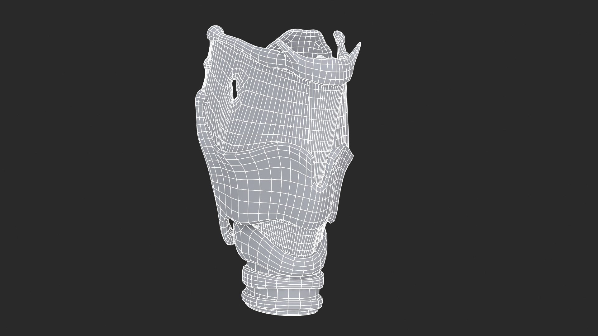 Larynx 3D https://p.turbosquid.com/ts-thumb/s2/H6PL7D/3l/larynx_main_sub_1_f_0128/jpg/1766930129/1920x1080/fit_q87/0b6a7d7cecfc7d5ba99e9c80aba457fb3565bcc6/larynx_main_sub_1_f_0128.jpg