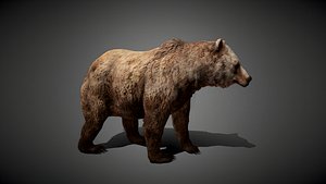 Animated Bear
