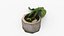 Monstera Concrete Pot Small 3D model