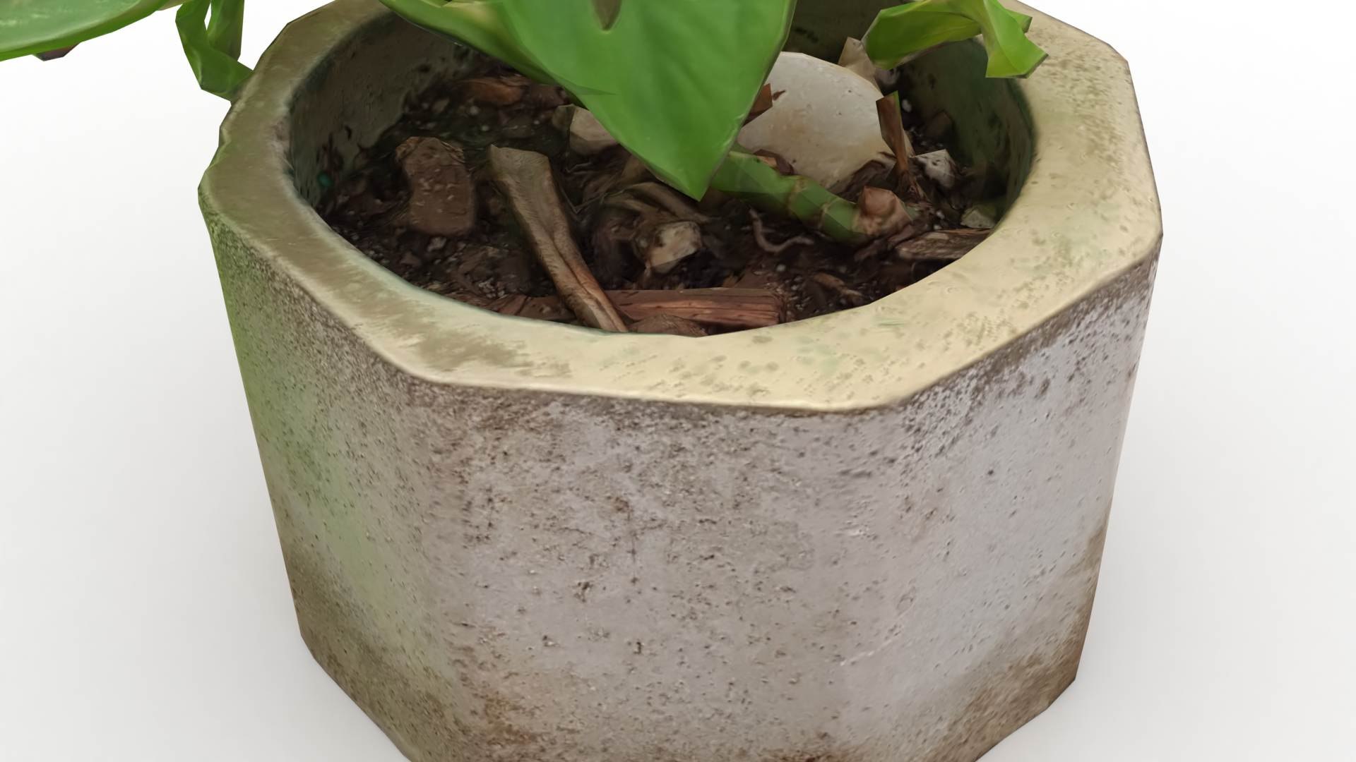 Monstera Concrete Pot Small 3D model https://p.turbosquid.com/ts-thumb/s2/NryXUq/7d/monsterasmall3/jpg/1628311894/1920x1080/fit_q87/0e3e1e3c5529ccca52c5e8185aa4f6455a768ef8/monsterasmall3.jpg