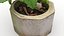 Monstera Concrete Pot Small 3D model