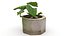 Monstera Concrete Pot Small 3D model