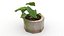 Monstera Concrete Pot Small 3D model