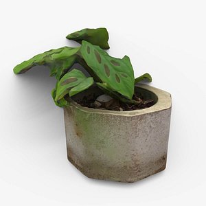 Monstera Concrete Pot Small 3D model