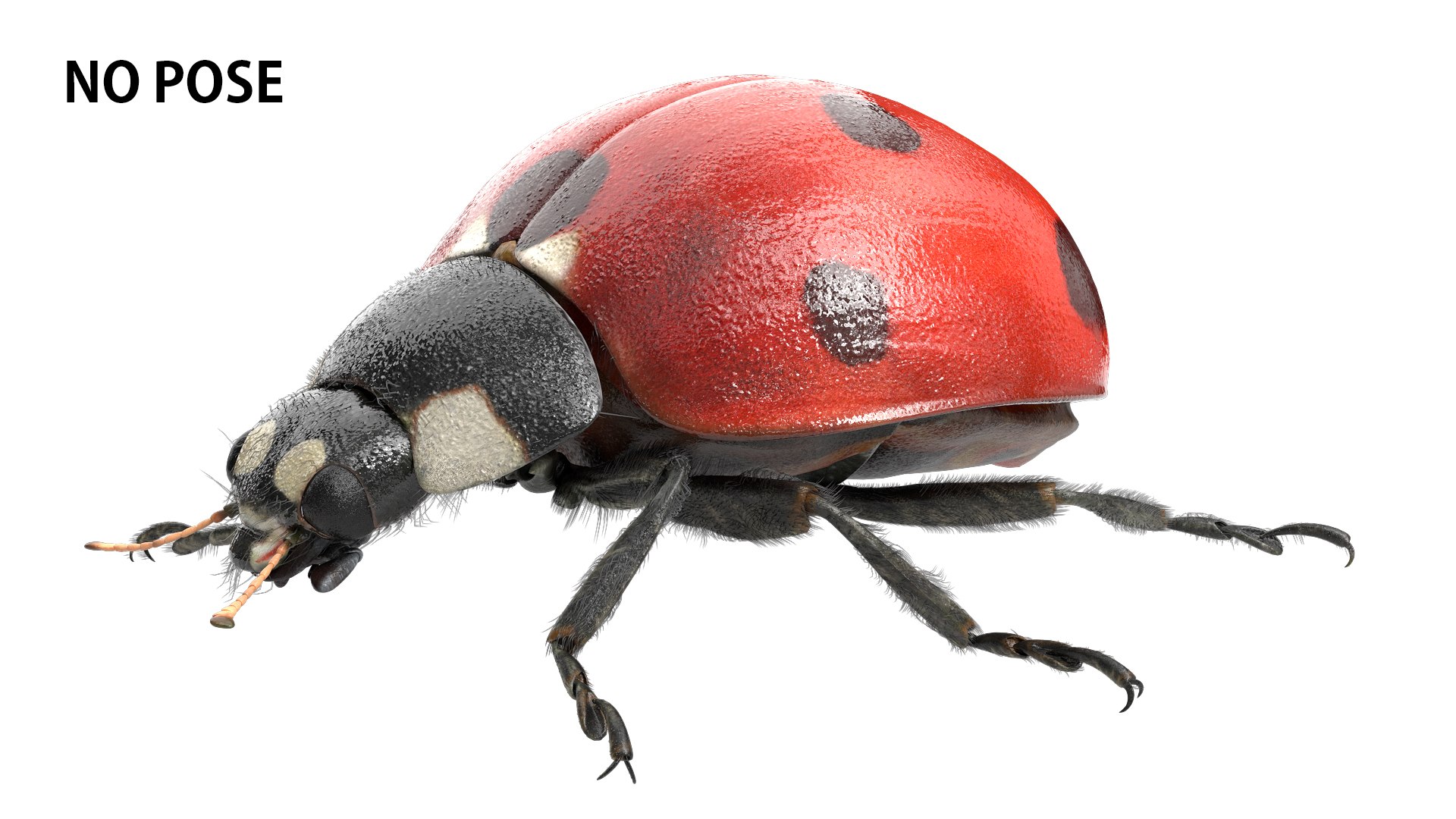 3D insect bug fly https://p.turbosquid.com/ts-thumb/s2/NyVerP/NtUrDAz8/38/jpg/1586744404/1920x1080/fit_q87/1f95a149bbe5d226a06edf06d1e742bd7a8a1d45/38.jpg