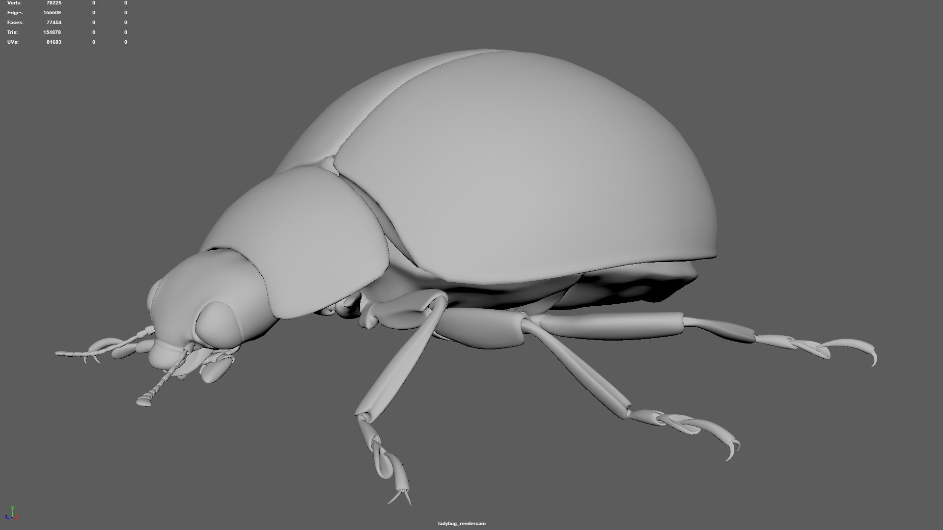 3D insect bug fly https://p.turbosquid.com/ts-thumb/s2/NyVerP/Q4WozCjd/44/jpg/1586744404/1920x1080/fit_q87/e96577cc465074ae815a2993477d3d416c992095/44.jpg