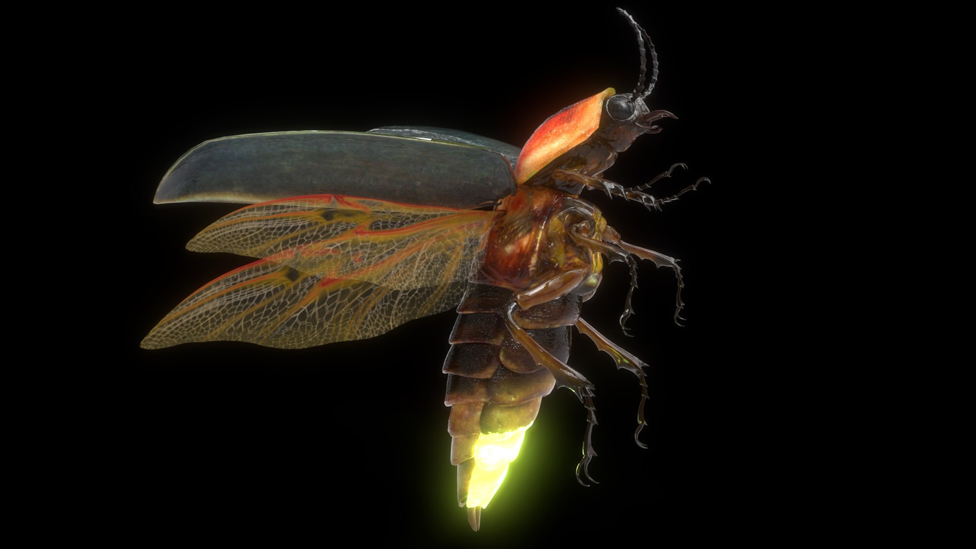 3D insect bug fly https://p.turbosquid.com/ts-thumb/s2/NyVerP/eYtQtP8p/14/jpg/1586744403/1920x1080/fit_q87/8e0ad7d872e8d7708dc32e2e416fb7610a6c233f/14.jpg