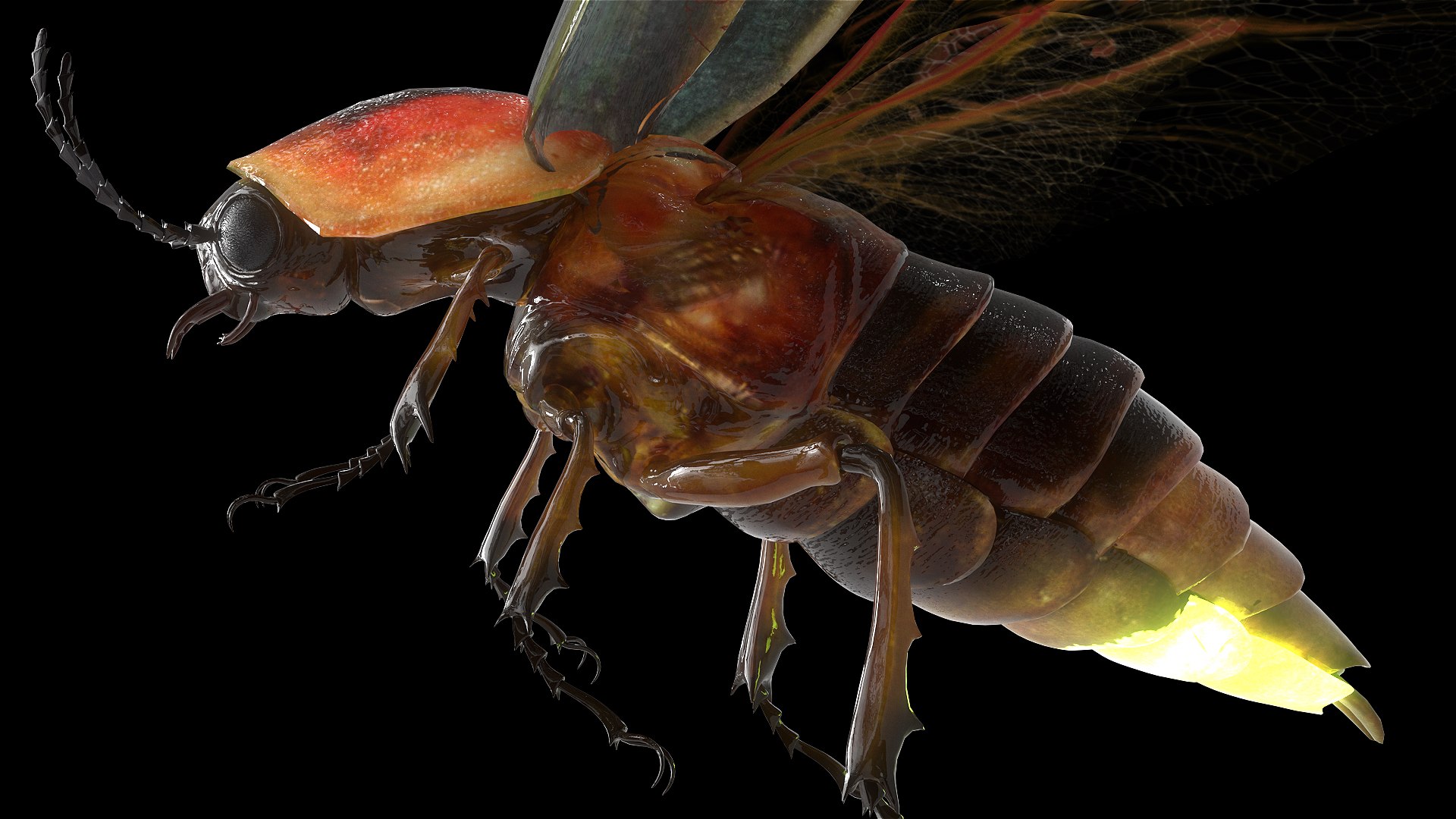 3D insect bug fly https://p.turbosquid.com/ts-thumb/s2/NyVerP/giC5hjHm/19/jpg/1586744403/1920x1080/fit_q87/459dac6c9ae027475ac52d72a7ce85588803ddda/19.jpg