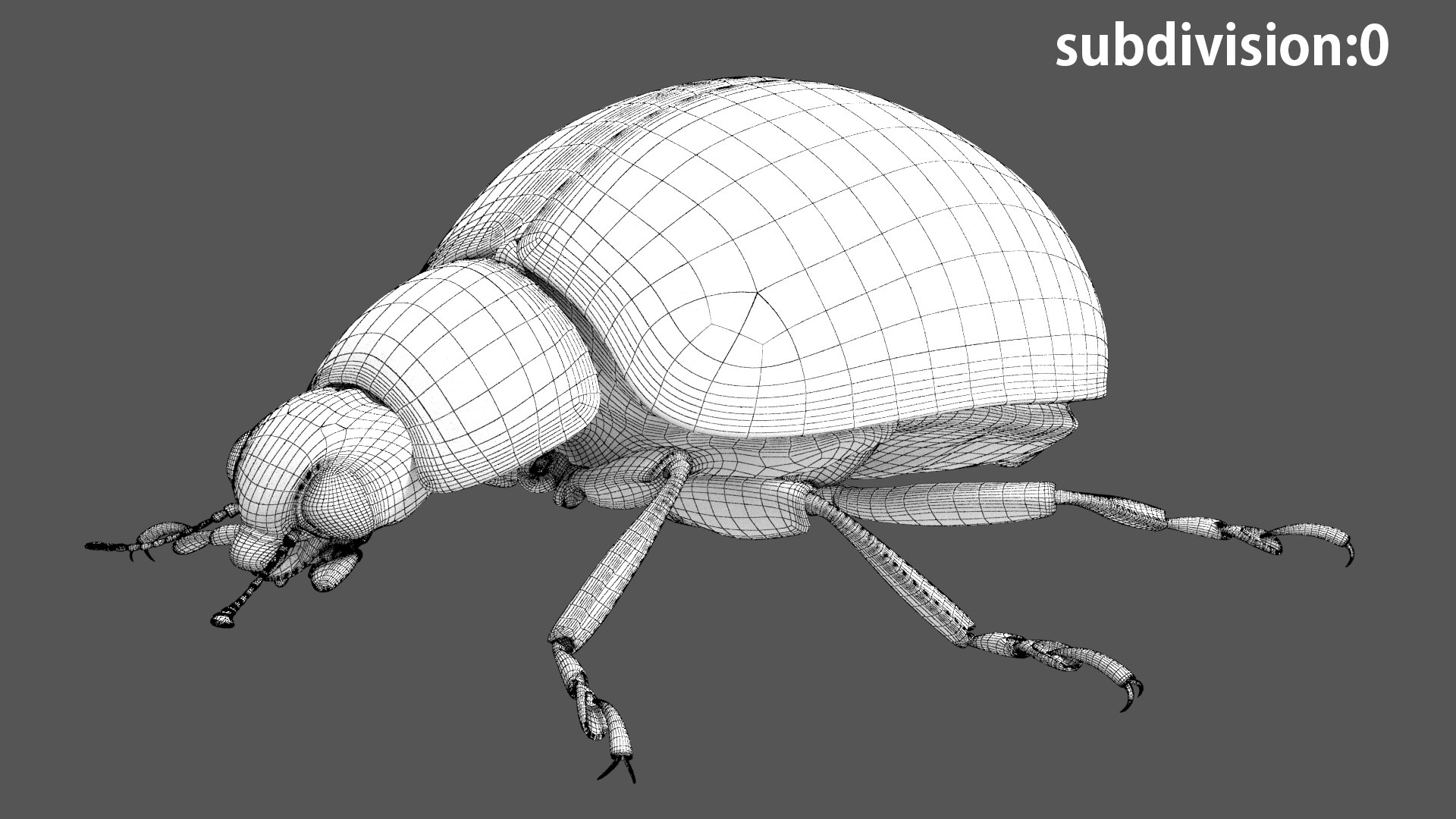 3D insect bug fly https://p.turbosquid.com/ts-thumb/s2/NyVerP/pMtUIoxK/45/jpg/1586744404/1920x1080/fit_q87/95dd5f8bb8c4181b25445b884f90088075ffb202/45.jpg