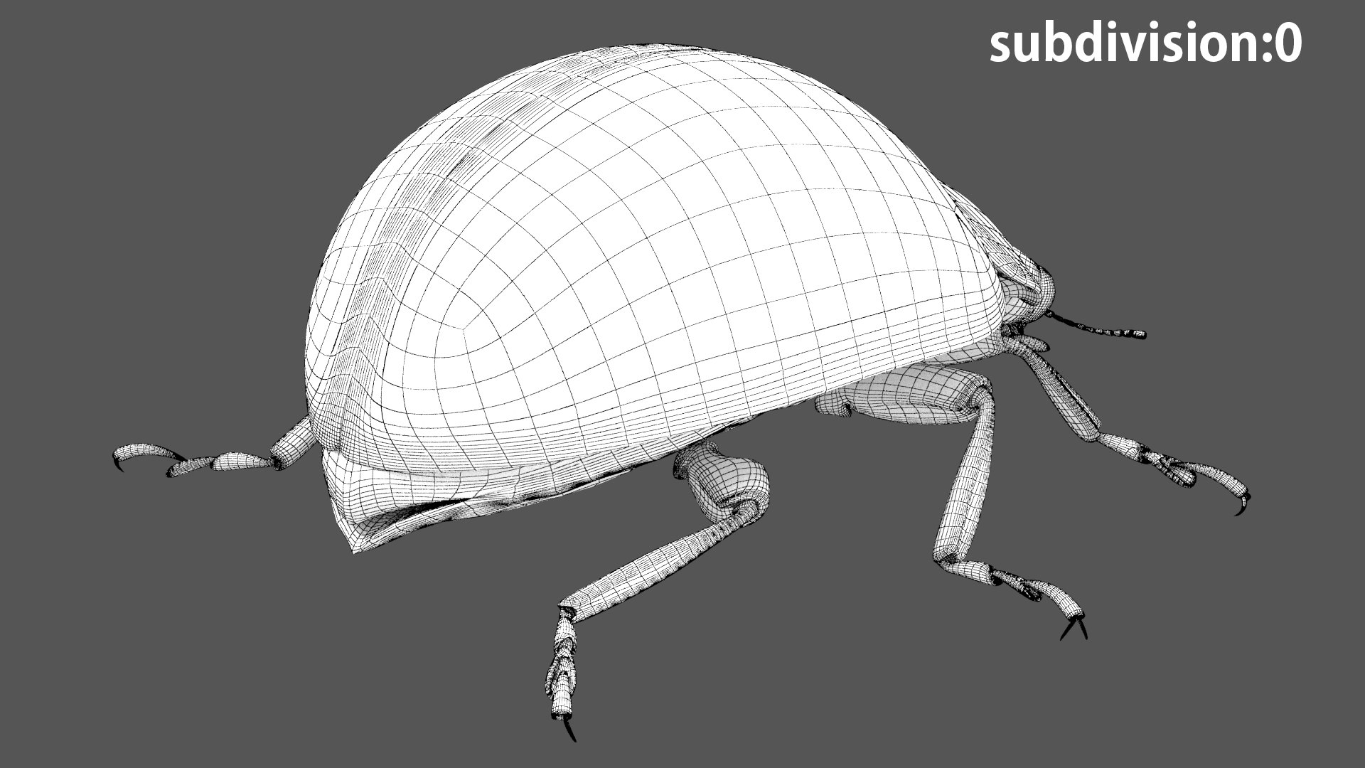 3D insect bug fly https://p.turbosquid.com/ts-thumb/s2/NyVerP/qGE7AjM6/46/jpg/1586744404/1920x1080/fit_q87/9f3b3da297f0abfc034450d2a82812382e1ff0b1/46.jpg