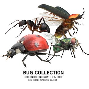 Bug Collection