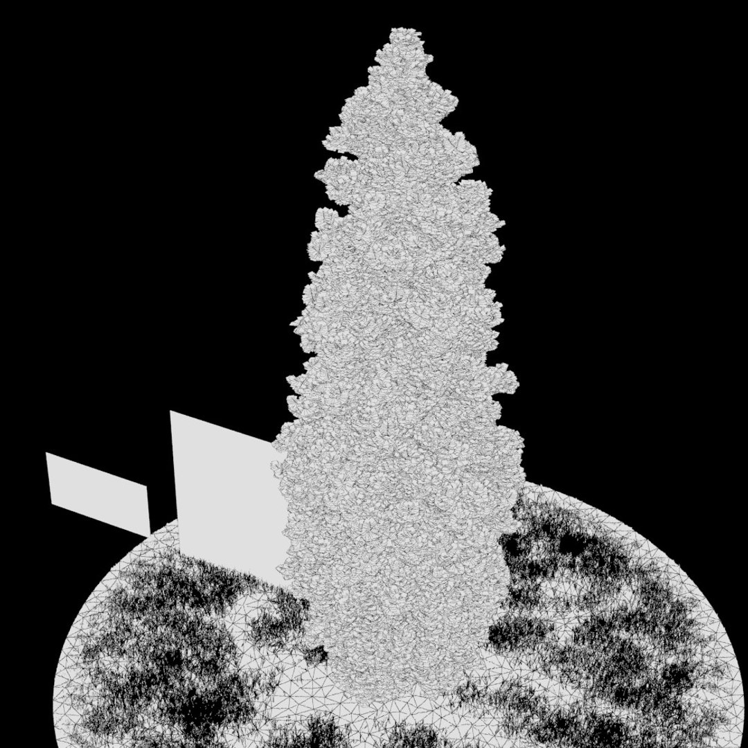 3d Model Realistic Thuja Tree